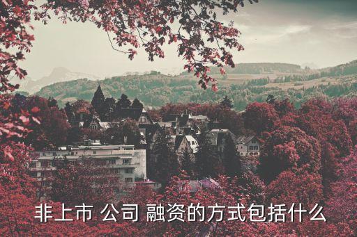 非上市公司融資如何分配股權,上市公司如何進行融資