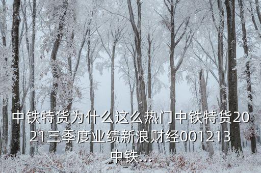 中鐵特貨為什么這么熱門(mén)中鐵特貨2021三季度業(yè)績(jī)新浪財(cái)經(jīng)001213中鐵...