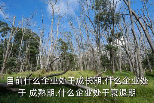 目前什么企業(yè)處于成長期.什么企業(yè)處于 成熟期.什么企業(yè)處于衰退期