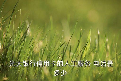  光大銀行信用卡的人工服務(wù) 電話是多少