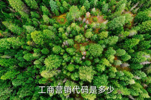  工商營銷代碼是多少