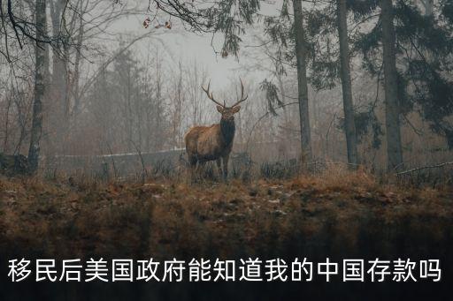 美國在中國的資產(chǎn)