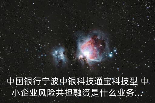 中國銀行寧波中銀科技通寶科技型 中小企業(yè)風(fēng)險(xiǎn)共擔(dān)融資是什么業(yè)務(wù)...