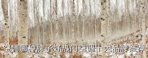 格力是好公司嗎,格力公司背景及簡介