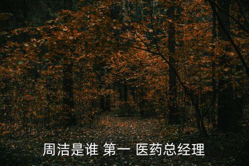 周潔是誰(shuí) 第一 醫(yī)藥總經(jīng)理