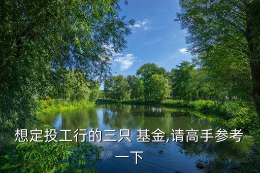 想定投工行的三只 基金,請高手參考一下