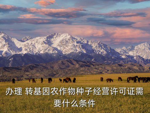 辦理 轉(zhuǎn)基因農(nóng)作物種子經(jīng)營許可證需要什么條件