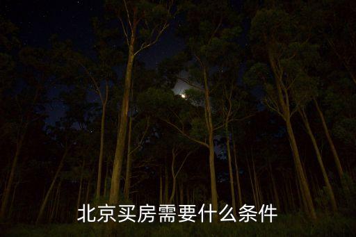 北京市非普通住宅標(biāo)準(zhǔn),非普通住宅的標(biāo)準(zhǔn)