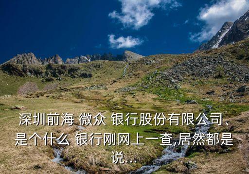 深圳前海 微眾 銀行股份有限公司、是個什么 銀行剛網(wǎng)上一查,居然都是說...