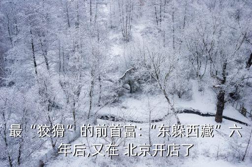 北京西單湘鄂情,湘鄂情打架北京2006