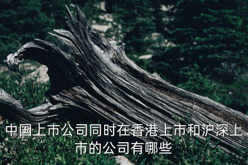 中國上市公司同時(shí)在香港上市和滬深上市的公司有哪些
