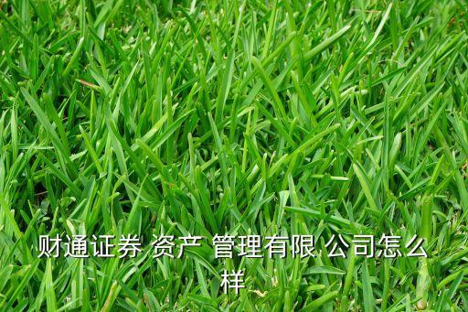 財通證券 資產 管理有限 公司怎么樣