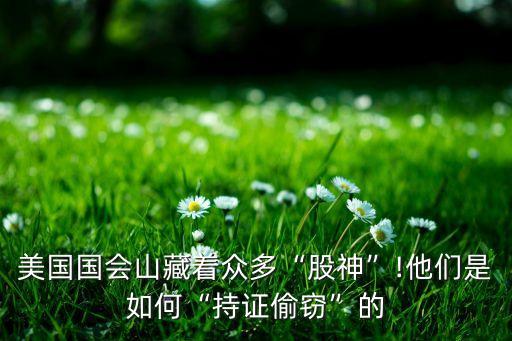 美國(guó)國(guó)會(huì)山藏著眾多“股神”!他們是如何“持證偷竊”的