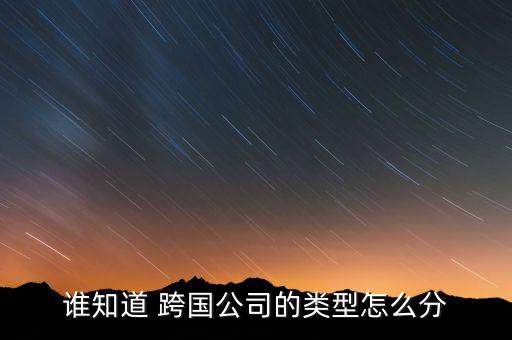 誰知道 跨國公司的類型怎么分