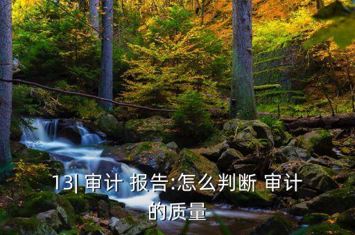 如何讀懂上市公司審計報告,2022年上市公司審計報告