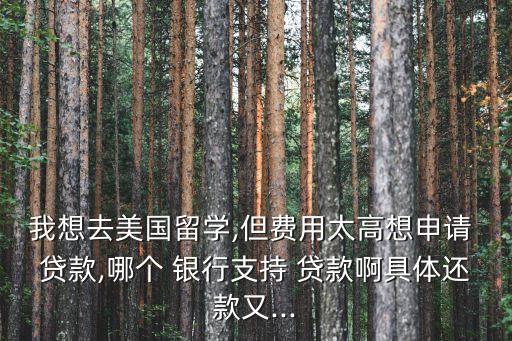 美國哪家銀行貸款,現(xiàn)在哪家銀行貸款最好最劃算