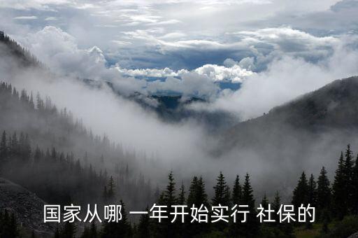 國家從哪 一年開始實(shí)行 社保的