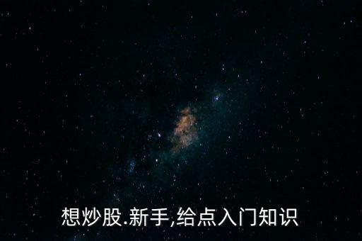 想炒股.新手,給點(diǎn)入門知識