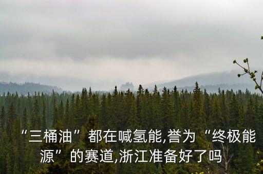 “三桶油”都在喊氫能,譽為“終極能源”的賽道,浙江準備好了嗎