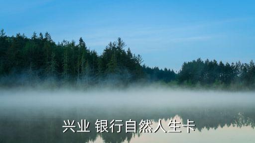  興業(yè) 銀行自然人生卡