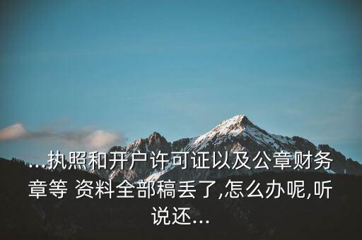 公司所有賬務(wù)資料遺失