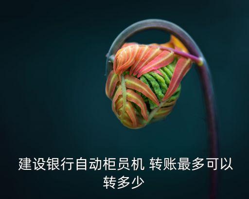 建設(shè)銀行柜臺(tái)轉(zhuǎn)賬限額,中國建行余額查詢