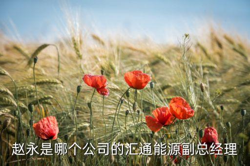宇通集團(tuán)財務(wù)有限公司,北大方正集團(tuán)財務(wù)有限公司