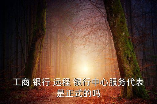 遠(yuǎn)程銀行客服