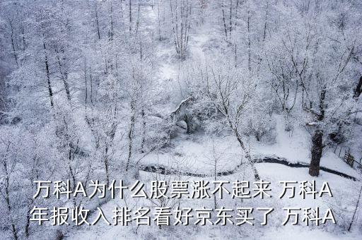 萬科集團2013年年報分析