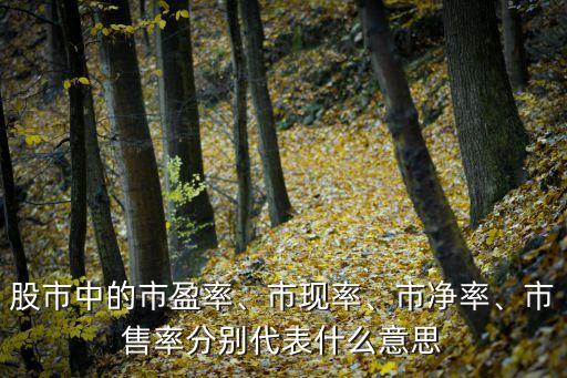 股市中的市盈率、市現(xiàn)率、市凈率、市售率分別代表什么意思
