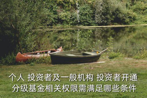 個(gè)人 投資者及一般機(jī)構(gòu) 投資者開(kāi)通 分級(jí)基金相關(guān)權(quán)限需滿(mǎn)足哪些條件