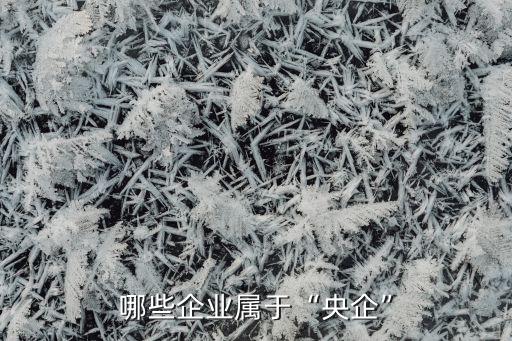 中國(guó)航空工業(yè)控股有限公司