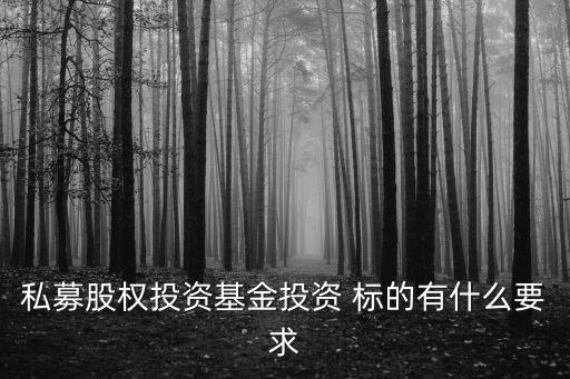 私募股權(quán)投資基金投資 標(biāo)的有什么要求