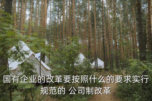 國有企業(yè)的改革要按照什么的要求實(shí)行規(guī)范的 公司制改革