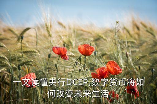 讀懂中國(guó)經(jīng)濟(jì)數(shù)據(jù)上