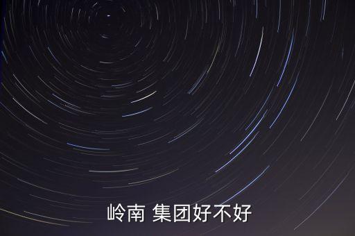 廣州嶺南集團高管