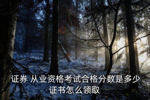 中國(guó)證券協(xié)會(huì)從業(yè)人員管理平臺(tái),證券投資基金業(yè)協(xié)會(huì)從業(yè)人員管理平臺(tái)