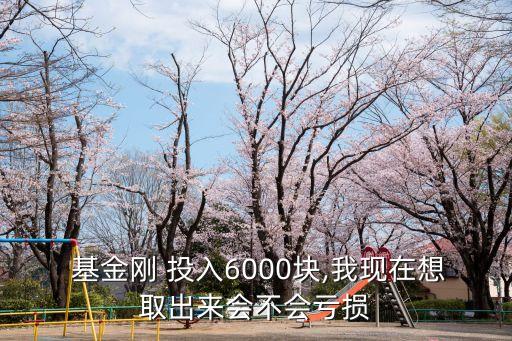  基金剛 投入6000塊,我現(xiàn)在想取出來會不會虧損