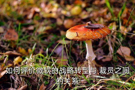 如何評價微軟的戰(zhàn)略轉(zhuǎn)型與 裁員之間的關(guān)系