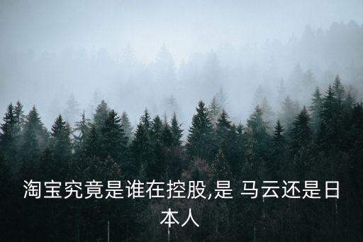 淘寶究竟是誰(shuí)在控股,是 馬云還是日本人