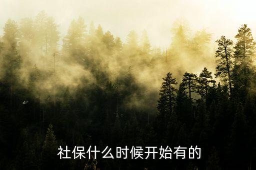 社?；鹑胧惺悄且荒?中國社保基金入市