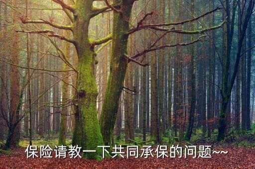 聯(lián)保分保保險公司,西湖益聯(lián)保是什么保險公司