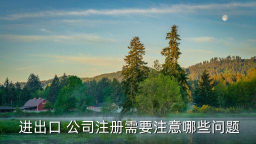  進(jìn)出口 公司注冊需要注意哪些問題