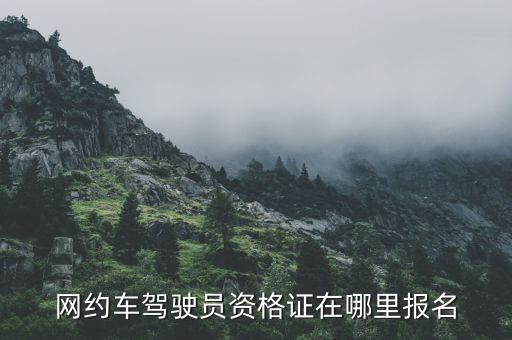 網(wǎng)約車(chē)駕駛員資格證在哪里報(bào)名
