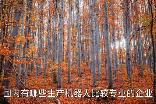 國內(nèi)有哪些生產(chǎn)機器人比較專業(yè)的企業(yè)