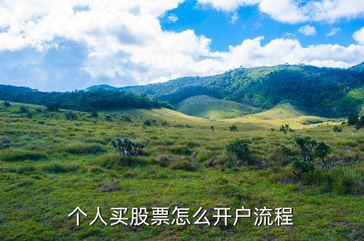 個(gè)人買股票怎么開(kāi)戶流程