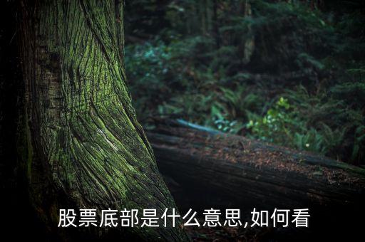  股票底部是什么意思,如何看