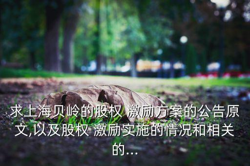激勵(lì)基金計(jì)提年度