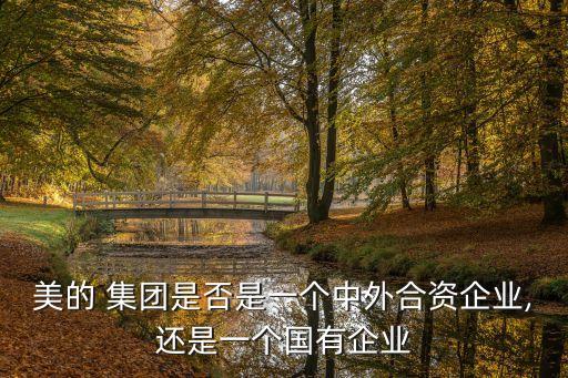 美的 集團(tuán)是否是一個中外合資企業(yè),還是一個國有企業(yè)