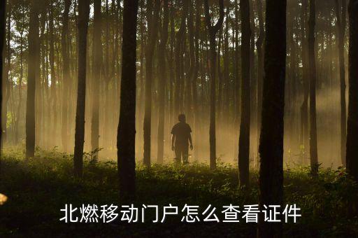  北燃移動門戶怎么查看證件